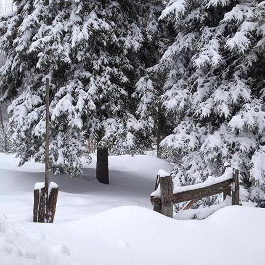 Une petite dernière #bordée #laurentides