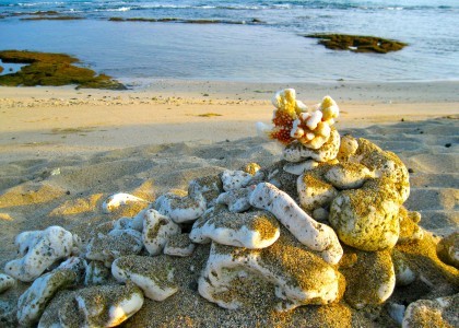 Sand and Coral_2608 by Rosa Say