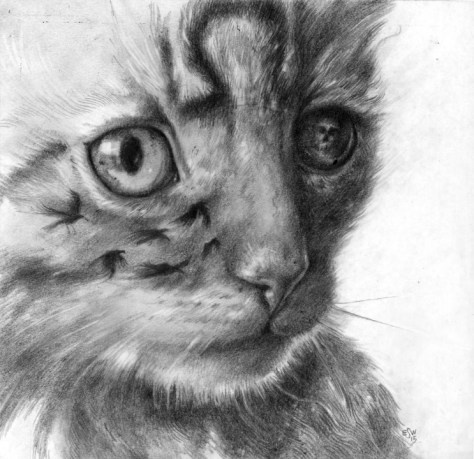 Erin Wells Artwork