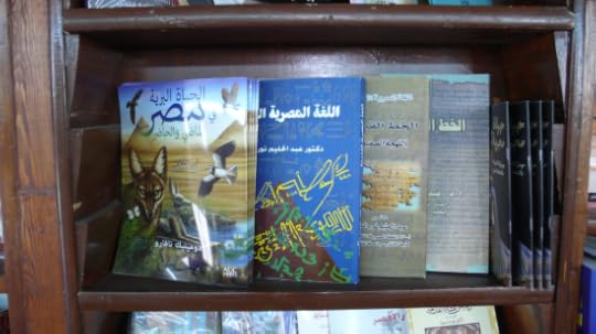 Screen Shot 2016-04-07 at 11.07.44 AM