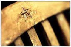 DECKCHAIR DETAIL