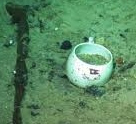 OCEAN FLOOR DISHES 3 - Copy