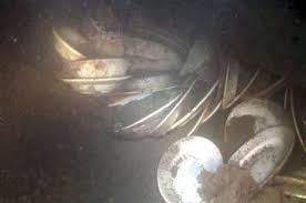 OCEAN DISHES 2