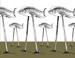 Image result for nonsense pictures