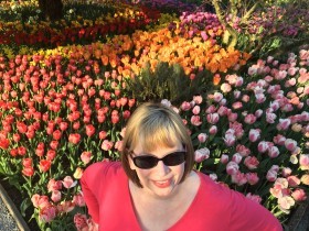 me with hybrid tulips