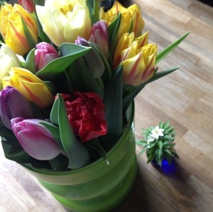 Det mest stress-reducerande jag vet. Blommor. Köpte tulpaner och plockade vitsippor.