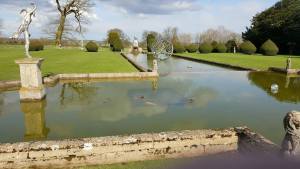 12939452_10154178516281424_1567285219_n