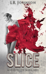 Slice3