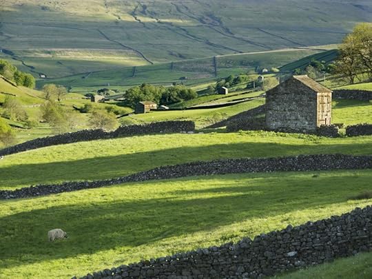 Swaledale-barns-med