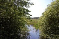 The_Fens_from_Sheepwash_Crossing_-_geograph.org.uk_-_1353036