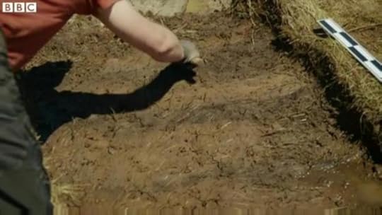 The researchers found what they believe to be evidence of Norse grass walls at their dig site in Point Rosee in Newfoundland.