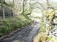 Even winding roads lead somewhere.