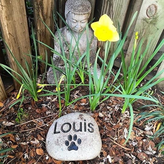 1889396_955221927908130_2008344784_n