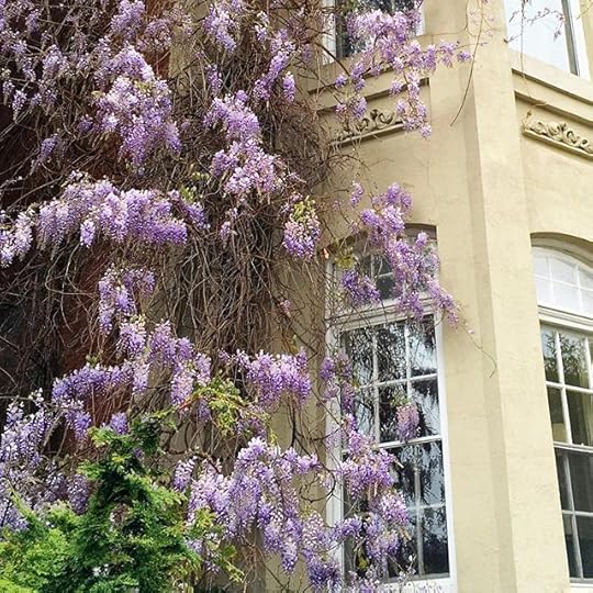 12328372_254904271516899_253187044_n