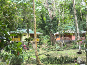Ardent Hot Springs Review 4 - Villas - Survive Travel