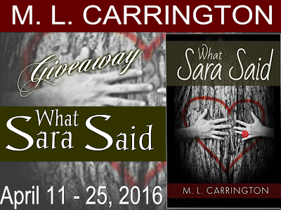 http://tometender.blogspot.com/2016/04/ml-carringtons-what-sara-said-blitz.html