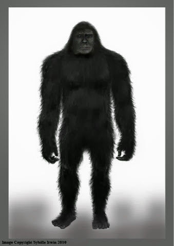 Tennessee Bigfoot by Sybilla Irwin via Frontiers of Zoology