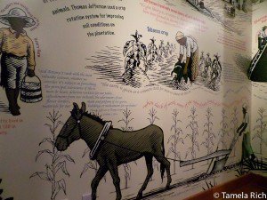 Life on Jefferson's plantation