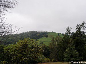 View from Monticello on a rainy October day