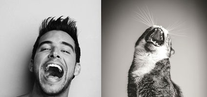  photo cat-model-hero_zpsizdedmtt.jpg