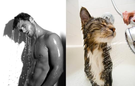  photo tumblr_mxjepeyJSU1s77zr6o1_1280_zps1qgxxvw0.png