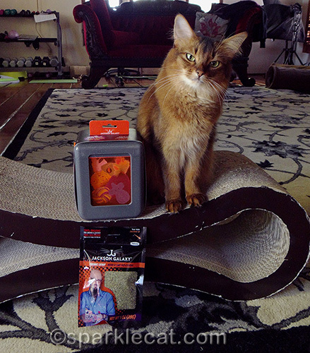 somali cat poses with Jackson Galaxy Vault Marinater and organic catnip