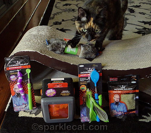 tortoiseshell cat poses with the Jackson Galaxy cat toy collection by Petmate