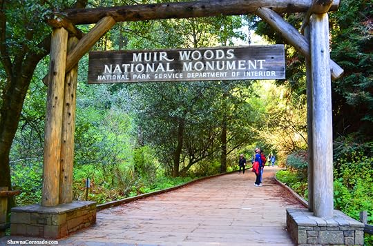 Muir Woods National Park Entrance copyright Shawna Coronado