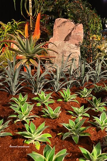 San Francisco Flower Show Rock Garden