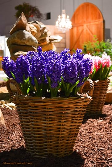 Chicago Flower and Garden Show Hyacinth and Chandelier