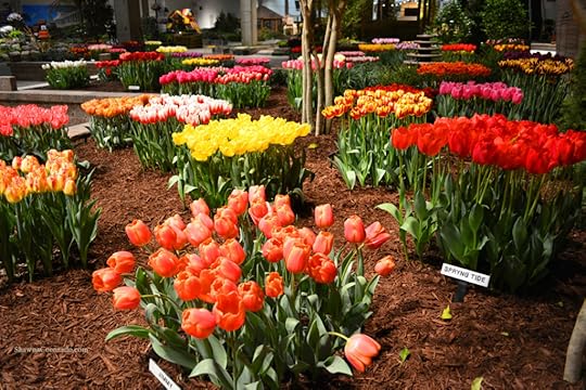Chicago Flower and Garden Show Tulip Garden