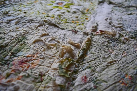 Dust Mite Washing Results