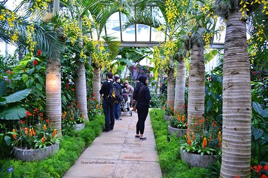 Chicago Botanic Orchid Show Palms and Orchids