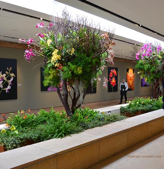 Chicago Botanic Orchid Show Art