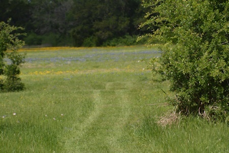Stripes-of-color-4-11-16