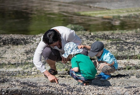 Photo: How to be a citizen scientist