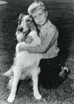 Lassie and Timmy