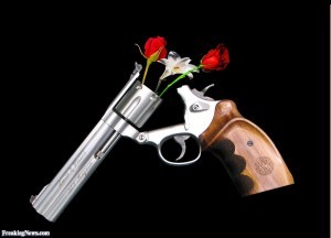 Flowers-in-a-Gun-34529