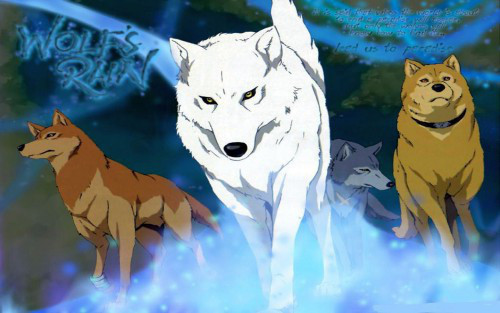 Wolf