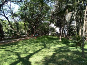 Sri Ramachandra Medical Center Review - Garden - Survive Travel