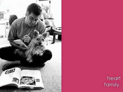 12592769_1676371435963025_832859439505334971_n