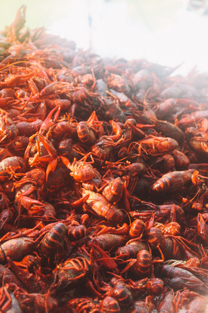 walker_percy_weekend_2014_photo_gallery_+(20+of+124)