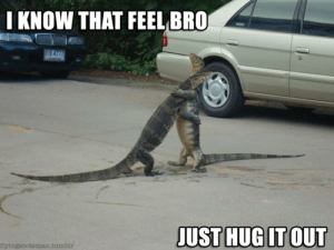 lizards hugging