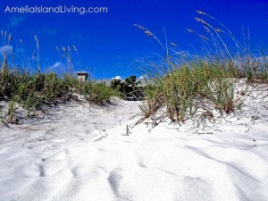 Amelia is footsteps in the sand
