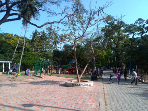 Puducherry Botanical Gardens Review - Kids Playground - Survive Travel