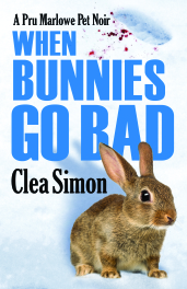 Cover for Blog Tour.jpg