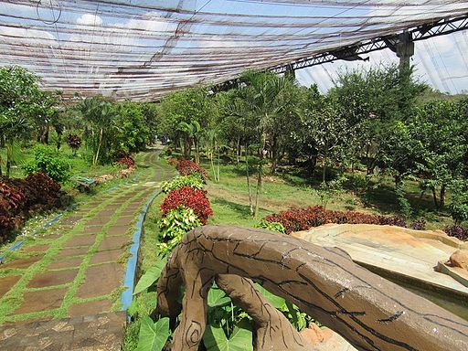 Birds-at-Vandalur-Zoo-6
