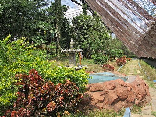 Birds-at-Vandalur-Zoo-7
