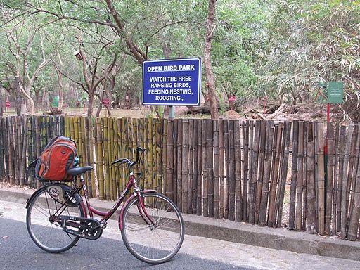Birds-at-Vandalur-Zoo-9