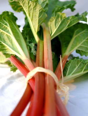 RHUBARB